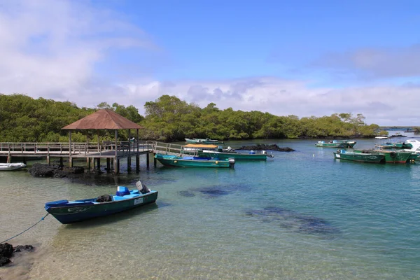 Fishing port in the Galapagos Islands — Stock Photo, Image