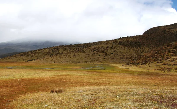 Andácká krajina poblíž sopky Cotopaxi v Ekvádoru — Stock fotografie