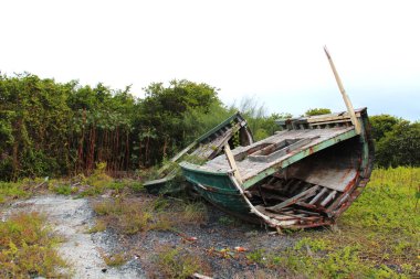 Galapagos 'taki Isabela Adası' nda bir tekne enkazı.