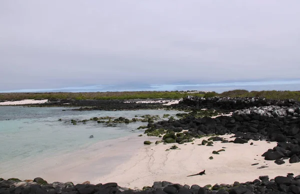 Paisaje de las Islas Galápagos — Foto de Stock