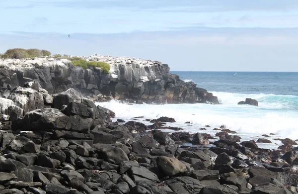 Paisaje de las Islas Galápagos — Foto de Stock