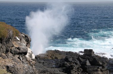 Galapagos Adalarındaki okyanusun gayzerleri