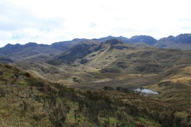 Ekvador 'daki El Cajas Ulusal Parkı 