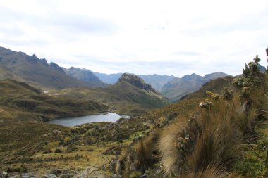 Ekvador 'daki El Cajas Ulusal Parkı 