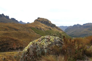 Ekvador 'daki El Cajas Ulusal Parkı 