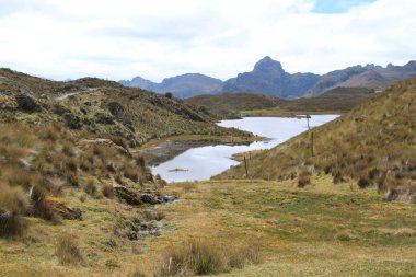Ekvador 'daki El Cajas Ulusal Parkı 