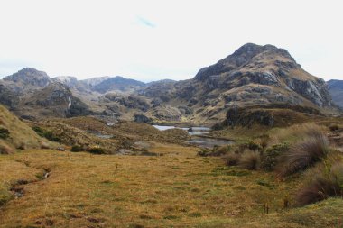 Ekvador 'daki El Cajas Ulusal Parkı 