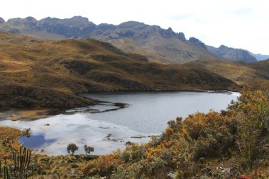 Ekvador 'daki El Cajas Ulusal Parkı 