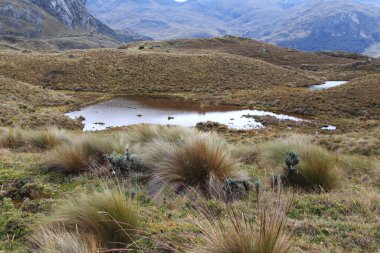 Ekvador 'daki El Cajas Ulusal Parkı 