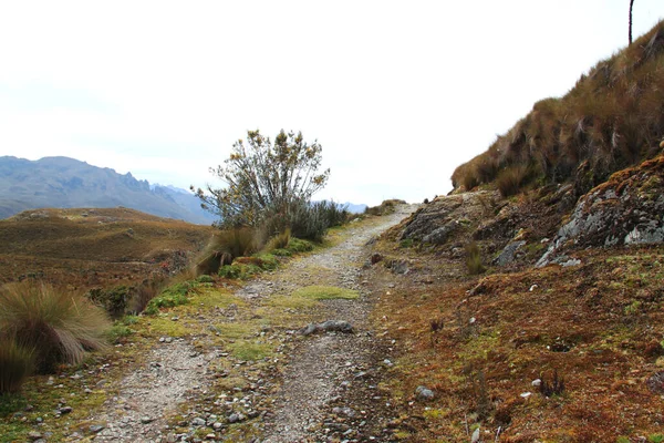 Ekvador 'daki El Cajas Ulusal Parkı 