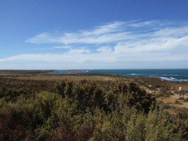 Valdes yarımadasının manzarası, Arjantin