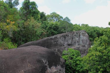 Angkor Arkeoloji Parkı orman manzarası, SIem Reap, Kamboçya 