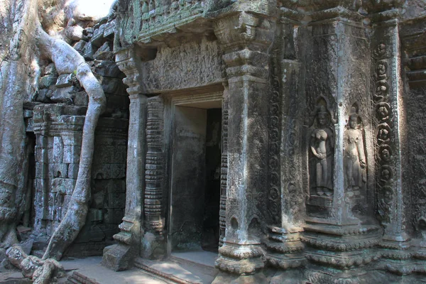 Kamboçya 'daki Ta Phrom Tapınağı' nın orman ve harabeleri