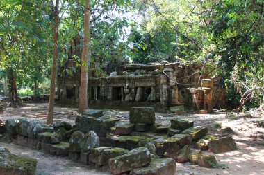 Kamboçya 'daki Ta Phrom Tapınağı' nın orman ve harabeleri