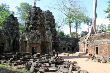 Kamboçya 'daki Ta Phrom Tapınağı' nın orman ve harabeleri