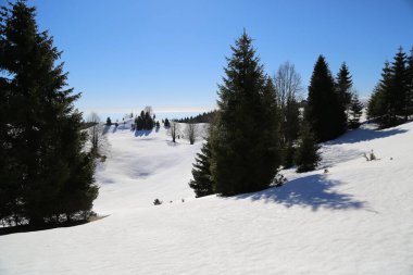 Friuli Venezia Giulia, İtalya 'daki Col Dei SCios yakınlarındaki manzara