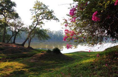 Angkor Wat yakınlarındaki su manzarası, Kamboçya