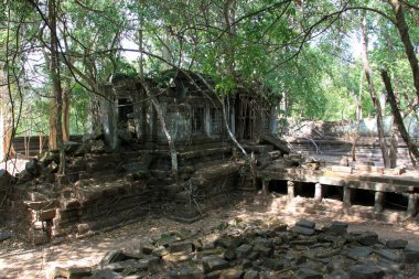 Beng Mealea tapınağının orman kalıntıları, Kamboçya