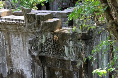 Beng Mealea tapınağının orman kalıntıları, Kamboçya