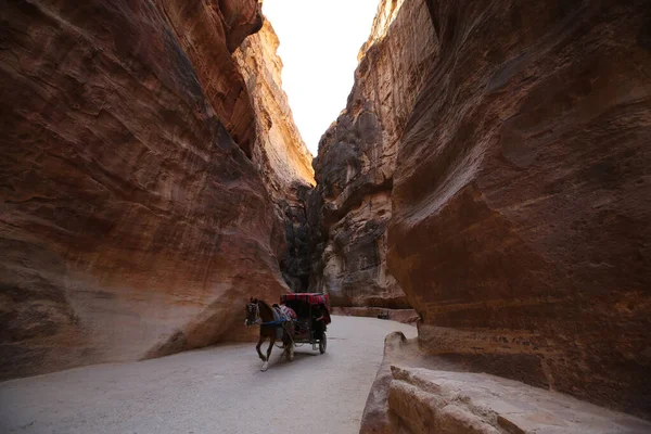 O Siq de Petra com suas belas rochas e a inevitável carruagem puxada por cavalos — Fotografia de Stock