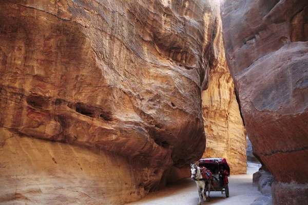 O Siq de Petra com suas belas rochas e a inevitável carruagem puxada por cavalos — Fotografia de Stock