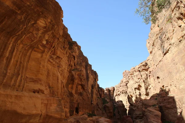 O Siq de Petra com suas belas rochas — Fotografia de Stock