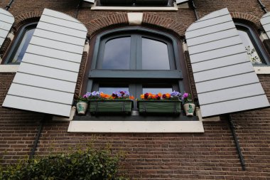 Amsterdam 'da çiçeklerle süslenmiş pencere