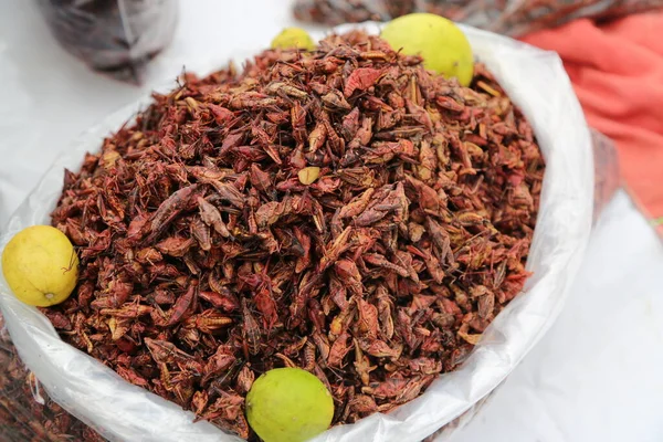 Fried insects for sale at the market in Cholula, Mexico — Stockfoto