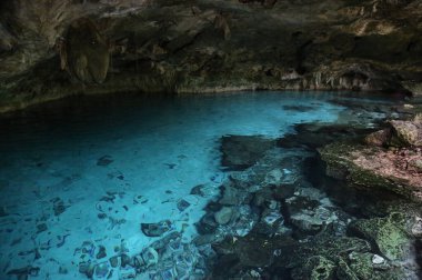Meksika, Cancun yakınlarındaki Cenotes dos Ojos.