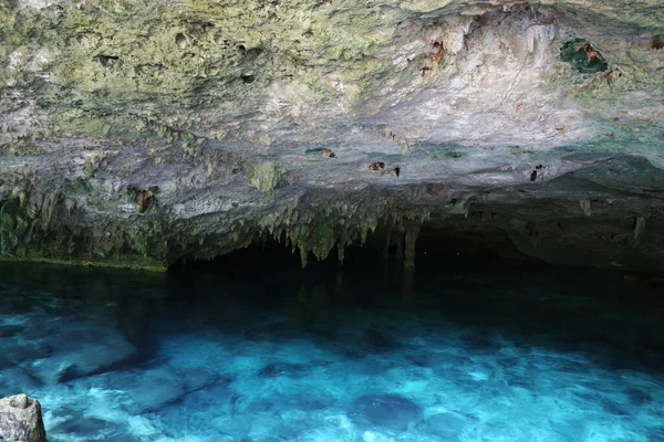 Cenotes dos Ojos bij Cancun, Mexico — Stockfoto