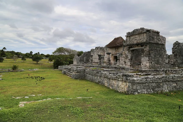 Meksika 'nın Tulum kentindeki harabeler