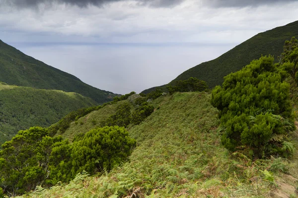 Typische Landschaft der Insel Sao Jorge im Azoren-Archipel — Stockfoto