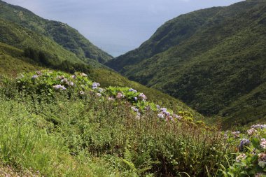 Azores, Sao Jorge adasının karakteristik manzarası.