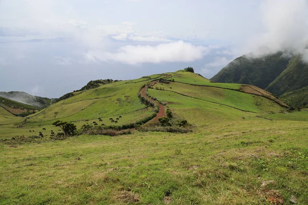 Charakteristisches Panorama der Insel Sao Jorge, Azoren — Stockfoto