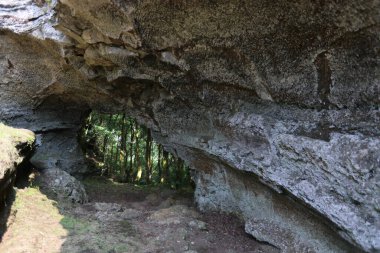 Caldeira yakınlarındaki lav tüneli, Graciosa Adası, Azores