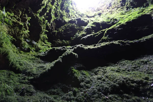 Uitzicht op het overwoekerde lavakanaal van de Algar do Carvao, Terceira eiland, Azoren — Stockfoto