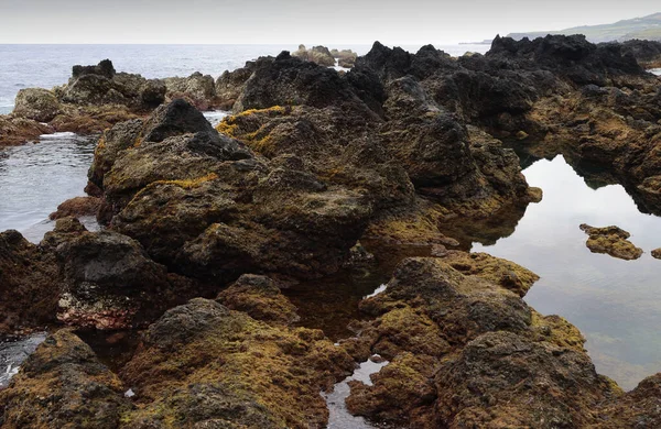 Naturalne baseny Biscoitos, wyspa Terceira, Azory — Zdjęcie stockowe