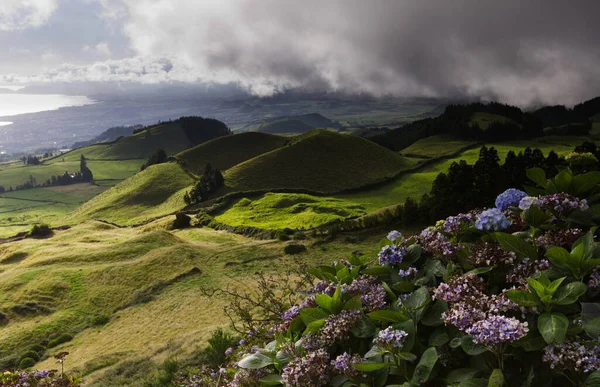 Miradouro do Pico do Carvao, Sao Miguel Adası, Azores