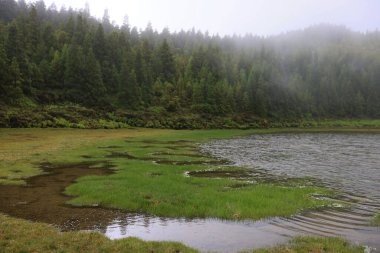 Lagoa Rasa, Sao Miguel Adası, Azores