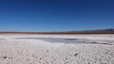 The Hidden Lagoons of Baltinache in San Pedro de Atacama, Chile. High quality photo