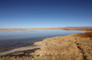 Cejar Lagoon, Şili manzarası. Yüksek kalite fotoğraf
