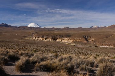 Las Vicunas Doğa Koruma Alanı, Parinacota Volkanı 'nın panoramik manzarası, Şili. Yüksek kalite fotoğraf
