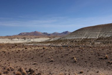Şili 'nin Las Vicunas Doğal Rezervi' nin göz kamaştırıcı manzarası. Yüksek kalite fotoğraf