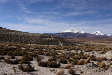 Las Vicunas Doğa Koruma Alanı, Guallatiri Volkanı 'nın panoramik manzarası, Şili. Yüksek kalite fotoğraf