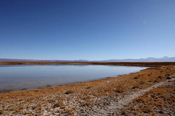 Cejar Lagoon, Şili manzarası. Yüksek kalite fotoğraf