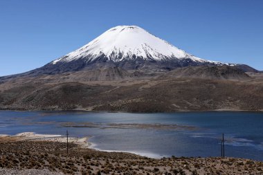 Şili 'deki Parinacota volkanı ile Cotacotani gölünün panoramik manzarası. Yüksek kalite fotoğraf