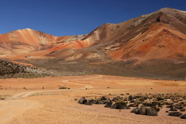 Suriplaza 'nın olağanüstü renkleri deniz seviyesinden 5200 metre yukarıda, Şili. Yüksek kalite fotoğraf