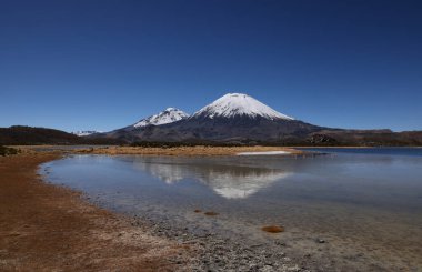 Lauca Ulusal Parkı, Şili. Yüksek kalite fotoğraf