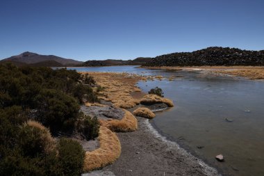 Şili 'deki Lauca Ulusal Parkı' ndaki Cotacotani Gölleri manzarası. Yüksek kalite fotoğraf