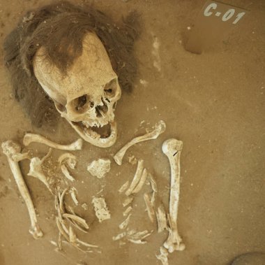 Arica, Şili 'deki Sitio Colon 10 mumyaları. Yüksek kalite fotoğraf